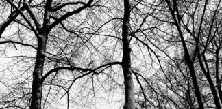 Punk Royale Oslo: Oppdag Den Unike Atmosfæren og Maten