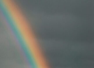 Over Oslo 2022: Oppdag Hemmelighetene Bak Byens Magi