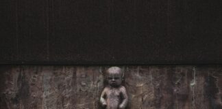 Kid Oslo: Utforsk De Beste Barnevennlige Aktiviteter Nå!