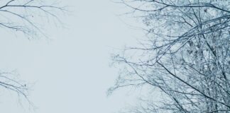 Wetter Oslo: Oppdag Hvordan Været Former Byens Magi Hver Dag