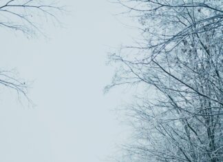 Wetter Oslo: Oppdag Hvordan Været Former Byens Magi Hver Dag