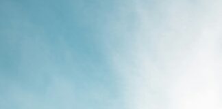 Tv2 Oslo: Oppdag Hemmelighetene Bak Norges Mest Elskede Kanal