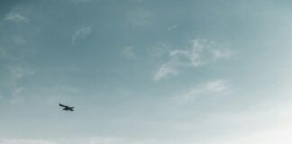 Oslo Maraton – Hvordan Forberede Seg Til Norges Største Løp?