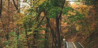 Fangene På Fortet Oslo: Opplev Spenning Og Eventyr Nå!