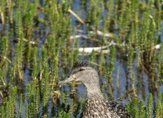 Grønland Oslo: Oppdag Skjulte Skatter Og Unike Opplevelser