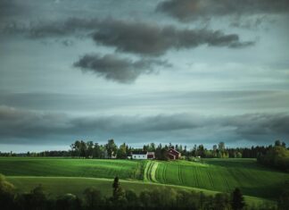 Barnehage Oslo: Hvordan Velge Den Beste For Ditt Barns Fremtid?