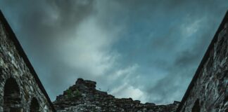 Flybussen Oslo: Oppdag Hemmelighetene Bak En Uforglemmelig Reise