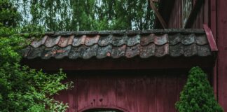 Oslo Reptile Park: Oppdag Norges Mest Fascinerende Dyrepark!