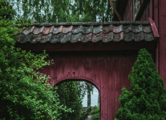 Soloppgang Oslo: Oppdag Magien Bak Byens Tidlige Morgener