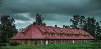 Hva Skjer I Oslo Barn: Spennende Aktiviteter Du Ikke Vil Gå Glipp Av