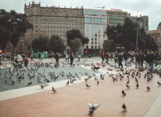 Footlocker Oslo: Oppdag De Nyeste Skotrendene Nå!