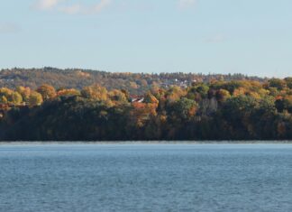 Javel Oslo: Oppdag Hemmelighetene Bak Byens Skjulte Skatter