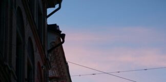 Apotek Oslo: Oppdag De Beste Tipsene For Sunnhet Og Velvære