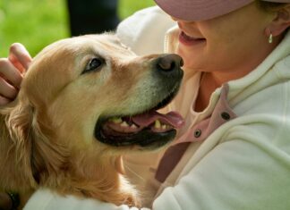 Aktiviteter I Oslo: Oppdag Skjulte Skatter Og Unike Opplevelser