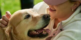 Bestille Koronatest Oslo: Få Rask Testing Og Trygghet Nå