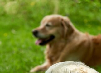 Frisør Oslo: Oppdag De Beste Hårtrendene Denne Sesongen!