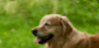 Vinterferie Oslo: Oppdag De Beste Aktiviteter For Hele Familien