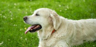 Aktiviteter Oslo: Oppdag De Morsomste Tingene Å Gjøre!