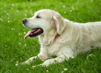 Mathallen Oslo: Oppdag De Beste Matopplevelsene I Byen!