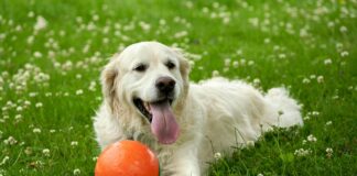 Massasje Oslo: Oppdag De Beste Teknikker For Ultimat Avslapning