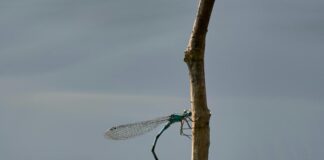 Gynekolog Oslo: Hvorfor Velge Eksperthjelp For Din Helse?