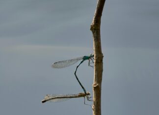 Gynekolog Oslo: Hvorfor Velge Eksperthjelp For Din Helse?