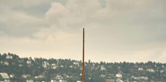 Kød Oslo: Utforsk Den Skjulte Matopplevelsen Du Må Prøve Nå