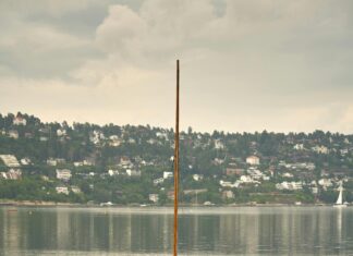 Kød Oslo: Utforsk Den Skjulte Matopplevelsen Du Må Prøve Nå