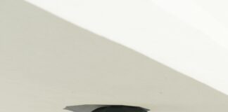 Brasilia Og Oslo: Oppdag De Skjulte Skattene I To Fantastiske Byer