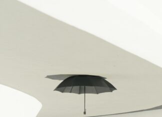 Brasilia Og Oslo: Oppdag De Skjulte Skattene I To Fantastiske Byer