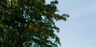 Stand Up Oslo: Oppdag Norges Mest Underholdende Komedieopplevelse