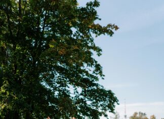 Stand Up Oslo: Oppdag Norges Mest Underholdende Komedieopplevelse