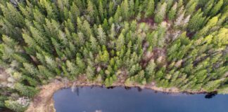 Oslo Kommune Lønnstrinn: Hvordan Påvirker Det Din Lønn?