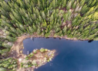 Oslo Kommune Lønnstrinn: Hvordan Påvirker Det Din Lønn?