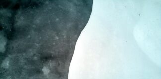 Oslo Kommune Ledige Stillinger: Finn Drømmejobben Din Nå!