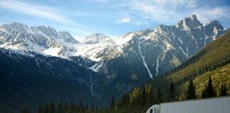 Lorry Oslo: Oppdag Hemmelighetene Bak Byens Beste Transporttjenester