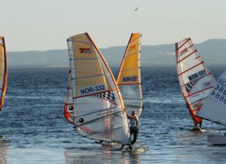 Norli Universitetsgata Oslo: Oppdag Skjulte Skatter og Bokfavoritter