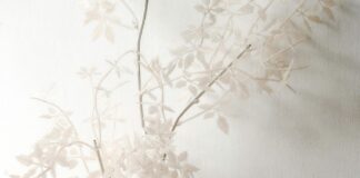 Gratis Hurtigtest Oslo: Hvor Kan Du Få En Enkel Og Rask Test?