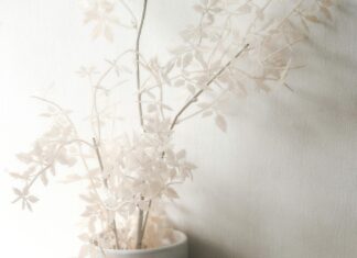 Gratis Hurtigtest Oslo: Hvor Kan Du Få En Enkel Og Rask Test?