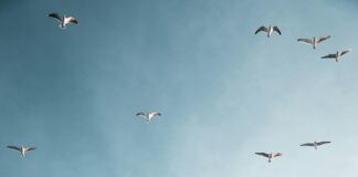 Fly Bergen Oslo: Oppdag De Beste Tipsene For En Smidig Reise