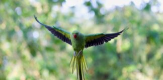 Fly Oslo London: Oppdag Hemmelighetene Bak Billige Flybilletter!