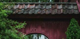 Oslo Bussterminal Schweigaards Gate Oslo: Utforsk Skjulte Perler!