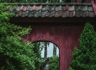 Oslo Bussterminal Schweigaards Gate Oslo: Utforsk Skjulte Perler!