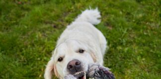 Youngs Oslo: Oppdag Byens Beste Skjulte Perler Og Opplevelser