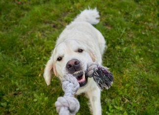 Youngs Oslo: Oppdag Byens Beste Skjulte Perler Og Opplevelser