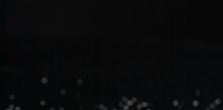 Donut Oslo: Oppdag De Beste Smakene og Skjulte Perler!