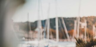 Asiatisk Restaurant Oslo: Oppdag De Beste Smakene Og Opplevelsen