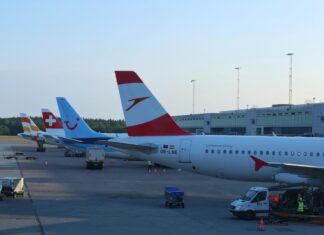 Dfds Oslo Terminal: Oppdag Hemmelighetene Bak Effektiv Transport