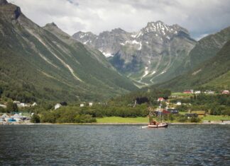 Julemarked Oslo: Oppdag Magien og Hemmelighetene Bak Byens Beste
